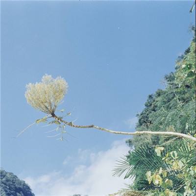 御龙决手游正式版下载